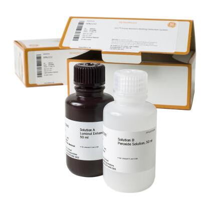 Amersham ECL Prime Western Blotting Detection Reagent